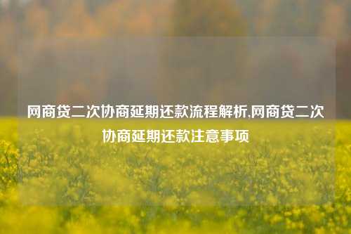 网商贷二次协商延期还款流程解析,网商贷二次协商延期还款注意事项