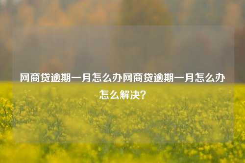 网商贷逾期一月怎么办网商贷逾期一月怎么办怎么解决？