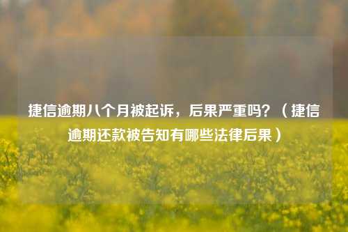 捷信逾期八个月被起诉，后果严重吗？（捷信逾期还款被告知有哪些法律后果）