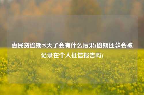 惠民贷逾期29天了会有什么后果(逾期还款会被记录在个人征信报告吗)