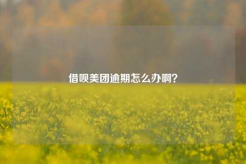 借呗美团逾期怎么办啊？