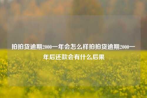 拍拍贷逾期2000一年会怎么样拍拍贷逾期2000一年后还款会有什么后果