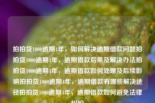 拍拍贷1000逾期4年，如何解决逾期借款问题拍拍贷1000逾期4年，逾期借款后果及解决办法拍拍贷1000逾期4年，逾期借款如何处理及后续影响拍拍贷1000逾期4年，逾期借款有哪些解决途径拍拍贷1000逾期4年，逾期借款如何避免法律纠纷