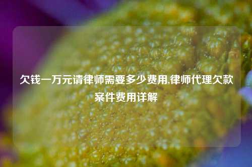 欠钱一万元请律师需要多少费用,律师代理欠款案件费用详解