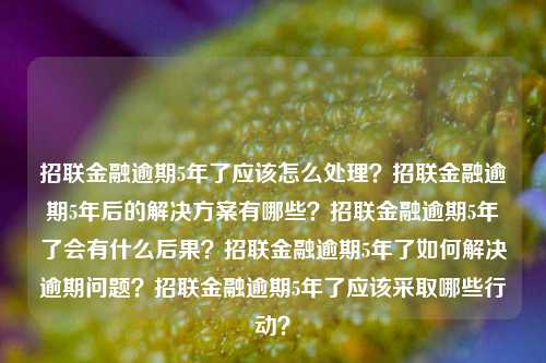 招联金融逾期5年了应该怎么处理？招联金融逾期5年后的解决方案有哪些？招联金融逾期5年了会有什么后果？招联金融逾期5年了如何解决逾期问题？招联金融逾期5年了应该采取哪些行动？