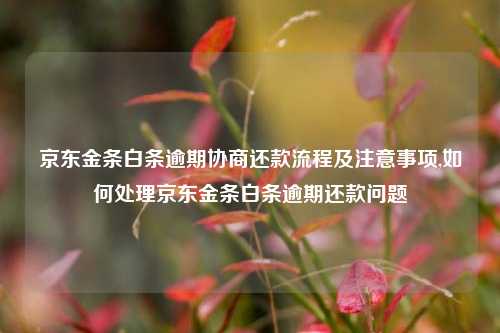 京东金条白条逾期协商还款流程及注意事项,如何处理京东金条白条逾期还款问题