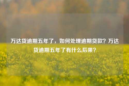 万达贷逾期五年了，如何处理逾期贷款？万达贷逾期五年了有什么后果？