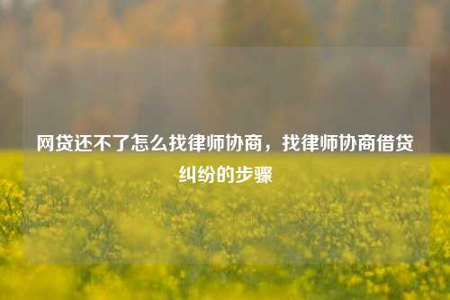 网贷还不了怎么找律师协商，找律师协商借贷纠纷的步骤