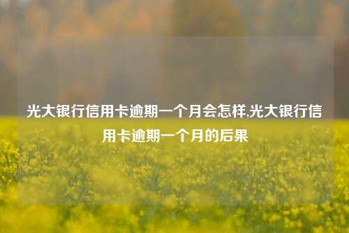 光大银行信用卡逾期一个月会怎样,光大银行信用卡逾期一个月的后果