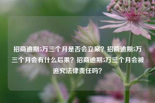 招商逾期5万三个月是否会立案？招商逾期5万三个月会有什么后果？招商逾期5万三个月会被追究法律责任吗？