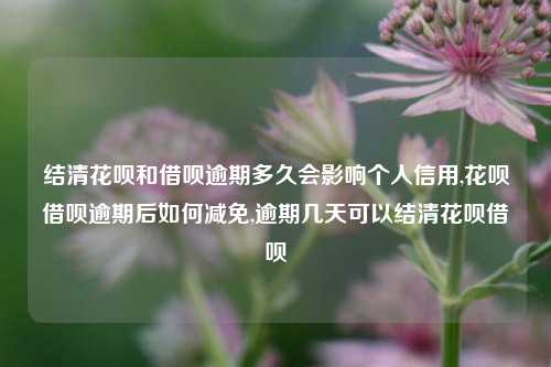 结清花呗和借呗逾期多久会影响个人信用,花呗借呗逾期后如何减免,逾期几天可以结清花呗借呗