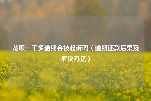 花呗一千多逾期会被起诉吗（逾期还款后果及解决办法）