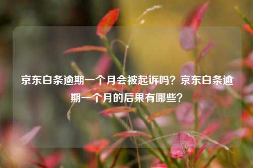 京东白条逾期一个月会被起诉吗？京东白条逾期一个月的后果有哪些？