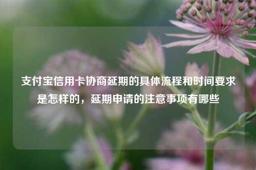 支付宝信用卡协商延期的具体流程和时间要求是怎样的，延期申请的注意事项有哪些