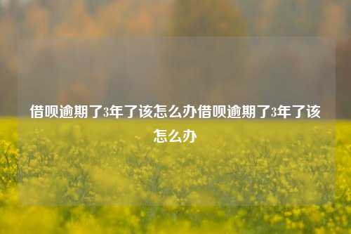 借呗逾期了3年了该怎么办借呗逾期了3年了该怎么办