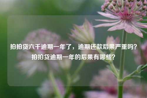 拍拍贷六千逾期一年了，逾期还款后果严重吗？拍拍贷逾期一年的后果有哪些？