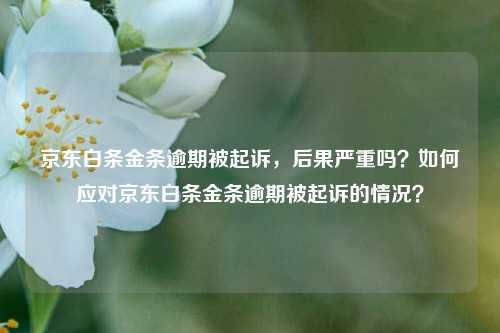 京东白条金条逾期被起诉，后果严重吗？如何应对京东白条金条逾期被起诉的情况？