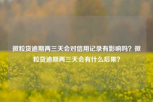 微粒贷逾期两三天会对信用记录有影响吗？微粒贷逾期两三天会有什么后果？