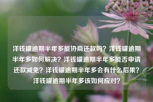 洋钱罐逾期半年多能协商还款吗？洋钱罐逾期半年多如何解决？洋钱罐逾期半年多能否申请还款减免？洋钱罐逾期半年多会有什么后果？洋钱罐逾期半年多该如何应对？