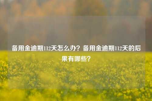 备用金逾期112天怎么办？备用金逾期112天的后果有哪些？