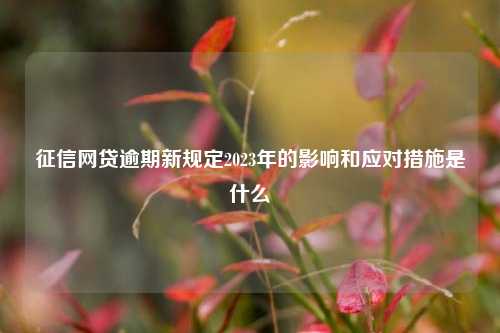 征信网贷逾期新规定2023年的影响和应对措施是什么