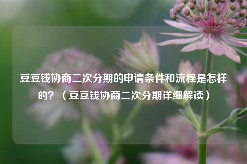 豆豆钱协商二次分期的申请条件和流程是怎样的？（豆豆钱协商二次分期详细解读）