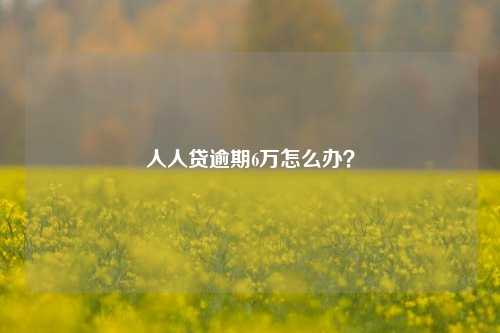 人人贷逾期6万怎么办？