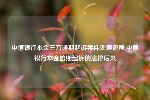 中信银行本金三万逾期起诉案件处理流程,中信银行本金逾期起诉的法律后果