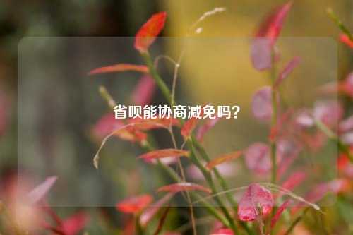 省呗能协商减免吗？