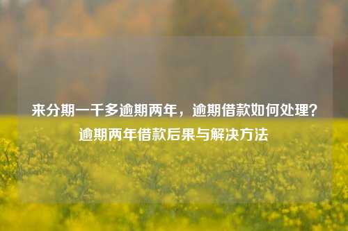 来分期一千多逾期两年，逾期借款如何处理？逾期两年借款后果与解决方法