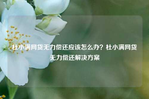 杜小满网贷无力偿还应该怎么办？杜小满网贷无力偿还解决方案