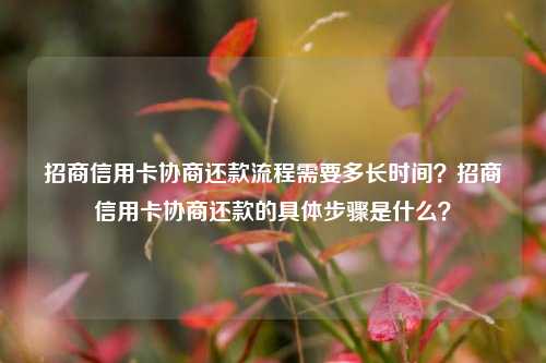 招商信用卡协商还款流程需要多长时间？招商信用卡协商还款的具体步骤是什么？