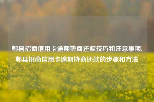 郫县招商信用卡逾期协商还款技巧和注意事项,郫县招商信用卡逾期协商还款的步骤和方法