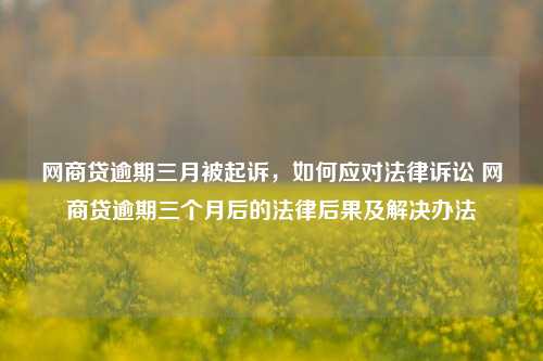 网商贷逾期三月被起诉，如何应对法律诉讼 网商贷逾期三个月后的法律后果及解决办法