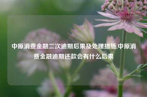 中原消费金融二次逾期后果及处理措施,中原消费金融逾期还款会有什么后果