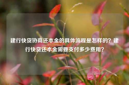 建行快贷协商还本金的具体流程是怎样的？建行快贷还本金需要支付多少费用？