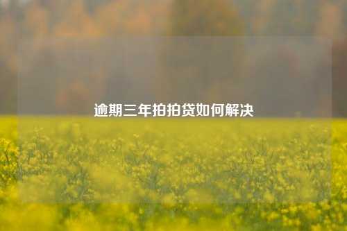 逾期三年拍拍贷如何解决