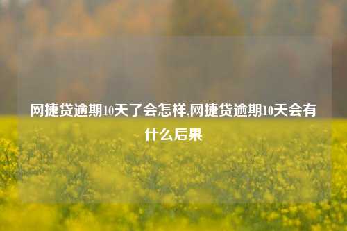 网捷贷逾期10天了会怎样,网捷贷逾期10天会有什么后果