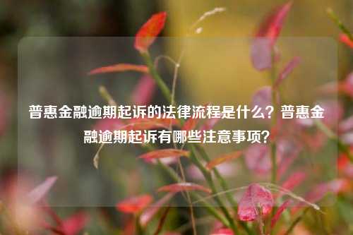 普惠金融逾期起诉的法律流程是什么？普惠金融逾期起诉有哪些注意事项？