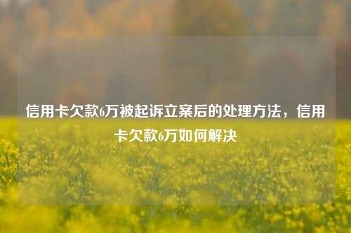 信用卡欠款6万被起诉立案后的处理方法，信用卡欠款6万如何解决