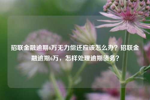 招联金融逾期6万无力偿还应该怎么办？招联金融逾期6万，怎样处理逾期债务？