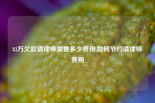 83万欠款请律师需要多少费用,如何节约请律师费用