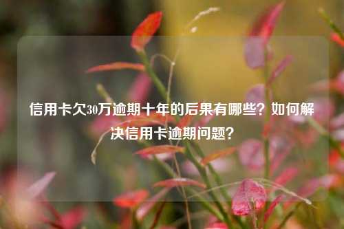 信用卡欠30万逾期十年的后果有哪些？如何解决信用卡逾期问题？