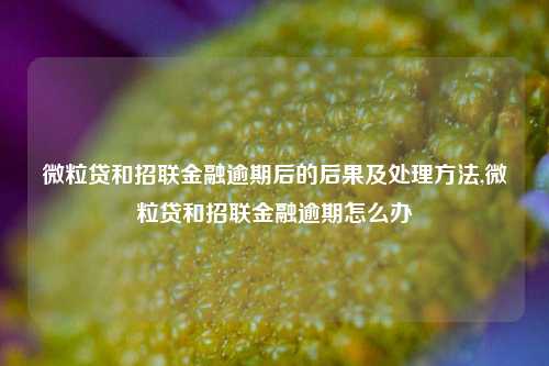 微粒贷和招联金融逾期后的后果及处理方法,微粒贷和招联金融逾期怎么办