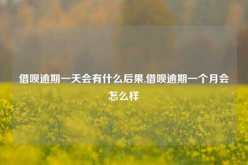 借呗逾期一天会有什么后果,借呗逾期一个月会怎么样