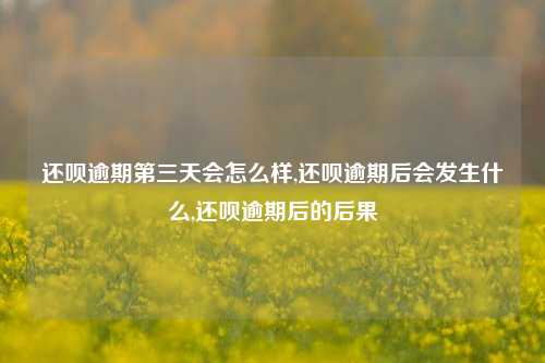 还呗逾期第三天会怎么样,还呗逾期后会发生什么,还呗逾期后的后果