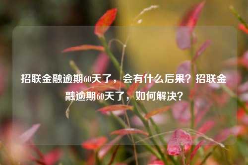 招联金融逾期60天了，会有什么后果？招联金融逾期60天了，如何解决？