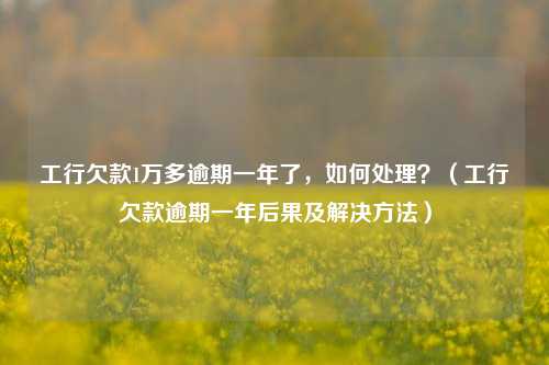 工行欠款1万多逾期一年了，如何处理？（工行欠款逾期一年后果及解决方法）