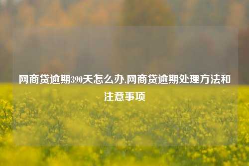 网商贷逾期390天怎么办,网商贷逾期处理方法和注意事项