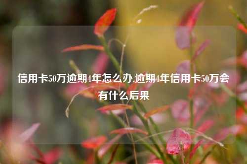 信用卡50万逾期4年怎么办,逾期4年信用卡50万会有什么后果